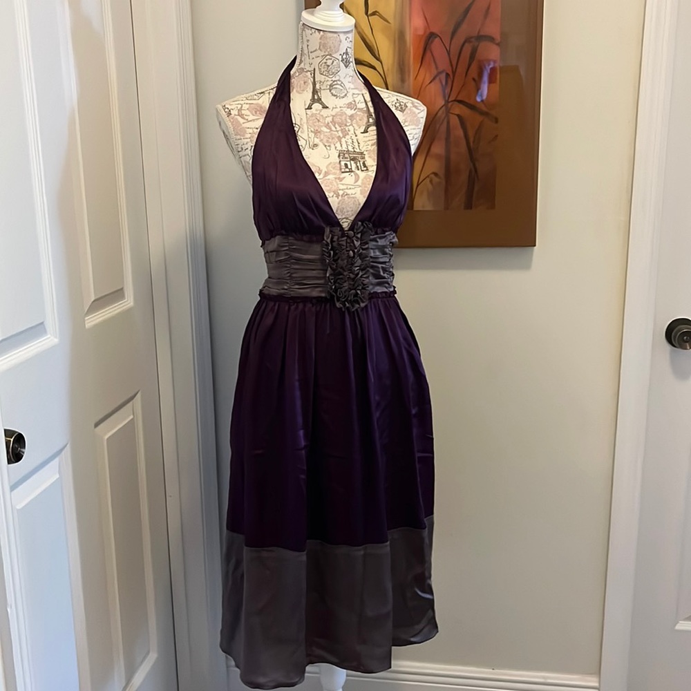 To the Max purple dress (100% silk)
